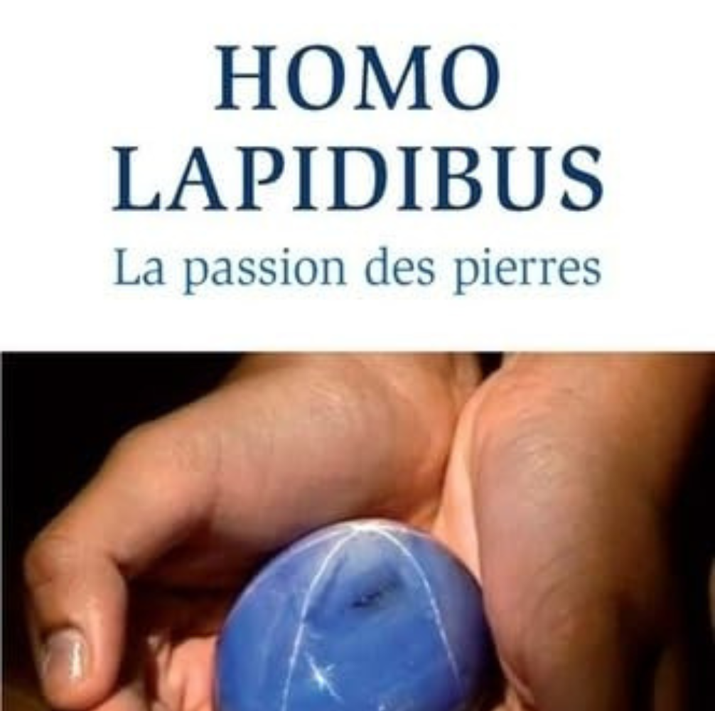 HOMO LAPIDIBUS : La passion des pierres