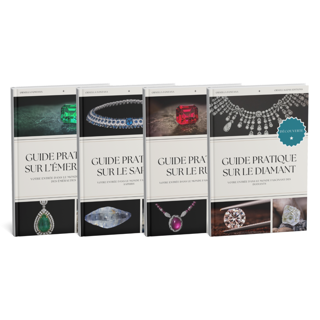 Coffret Guides Découverte